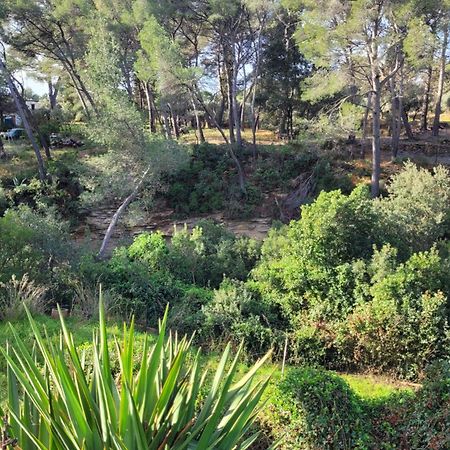 Le Repaire De La Cadiere A 5Mn Des Plages ! 滨海圣西尔 外观 照片