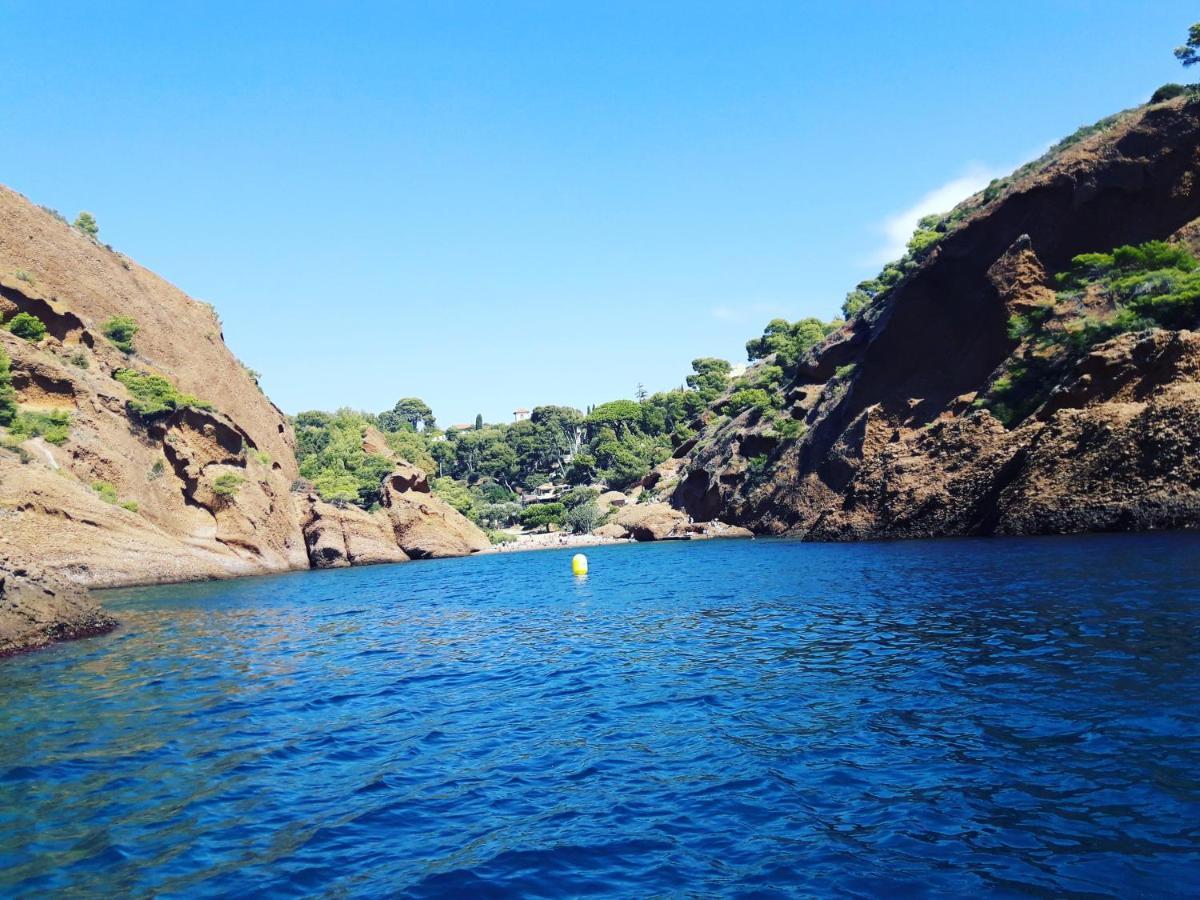 Le Repaire De La Cadiere A 5Mn Des Plages ! 滨海圣西尔 外观 照片