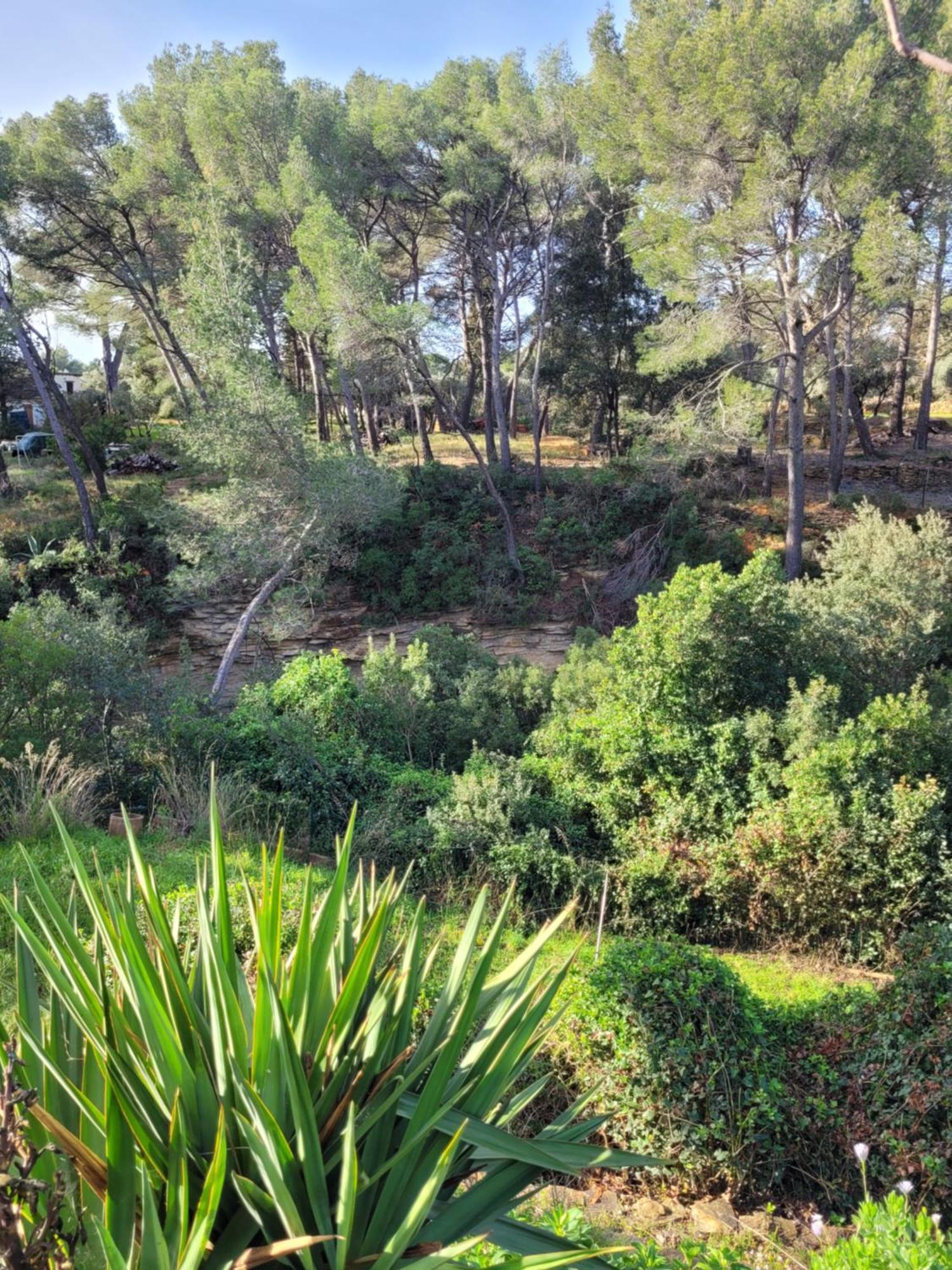 Le Repaire De La Cadiere A 5Mn Des Plages ! 滨海圣西尔 外观 照片